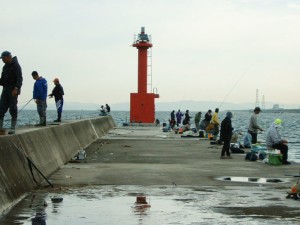 愛知県赤羽根赤灯台先端　FISH&MAPS