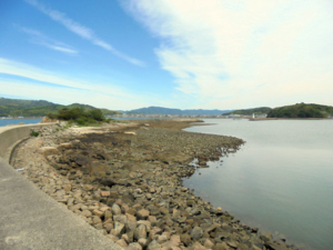 愛知県倉舞松島突堤内側　釣り場サイトFISH&MAPS